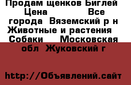 Продам щенков Биглей › Цена ­ 15 000 - Все города, Вяземский р-н Животные и растения » Собаки   . Московская обл.,Жуковский г.